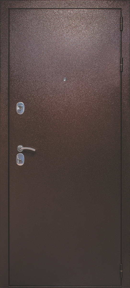 Входная дверь Страж 3К Миррор